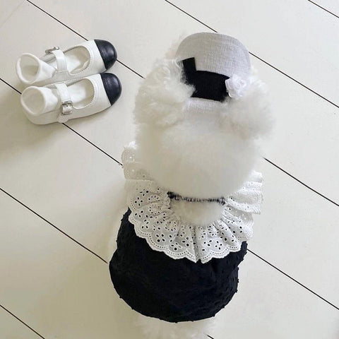 Summer Elegant Pet Outfit - Pets Villa