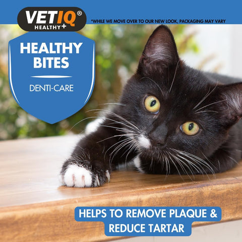 VETIQ Healthy Bites Breath & Dental Treats for Cats (65g) - Pets Villa