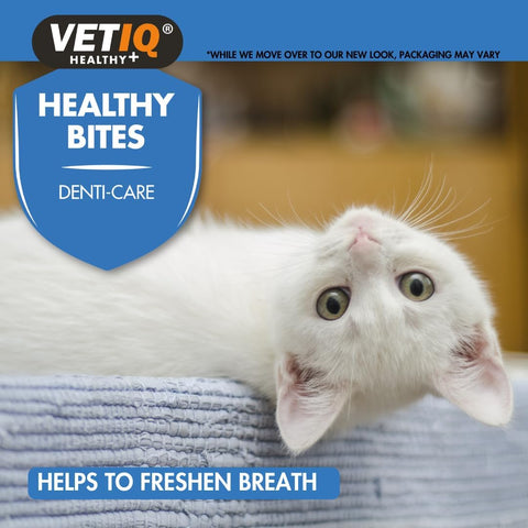 VETIQ Healthy Bites Breath & Dental Treats for Cats (65g) - Pets Villa