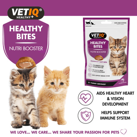 VETIQ Healthy Bites Nutribooster Kitten Treats 65g - Pets Villa