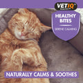 VETIQ Healthy Bites Serene Calming for Cats and Kittens 65g - Pets Villa