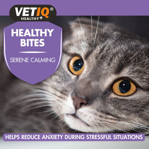 VETIQ Healthy Bites Serene Calming for Cats and Kittens 65g - Pets Villa