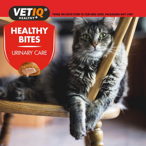 VETIQ Healthy Bites Urinary Care for Cats and Kittens 65g - Pets Villa