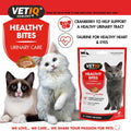 VETIQ Healthy Bites Urinary Care for Cats and Kittens 65g - Pets Villa