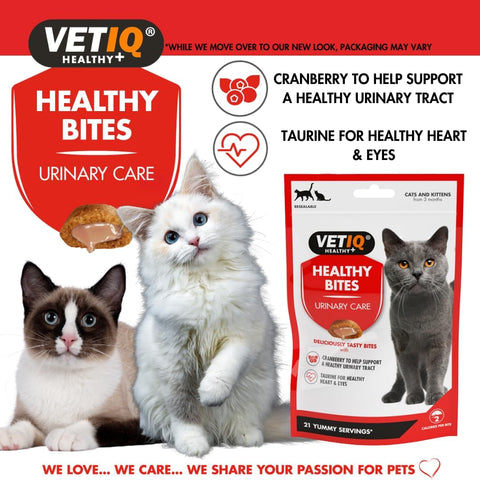 VETIQ Healthy Bites Urinary Care for Cats and Kittens 65g - Pets Villa