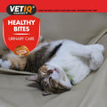 VETIQ Healthy Bites Urinary Care for Cats and Kittens 65g - Pets Villa