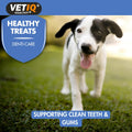 VETIQ Healthy Treats Breath & Dental 70g - Pets Villa