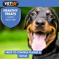 VETIQ Healthy Treats Breath & Dental 70g - Pets Villa