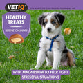 VETIQ Healthy Treats Calming for Dogs & Puppies 50g - Pets Villa