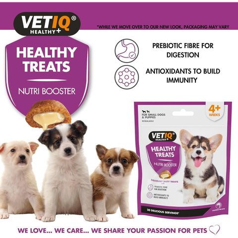 VetIQ Healthy Treats Nutri - Booster Puppy Treats 50g - Pets Villa