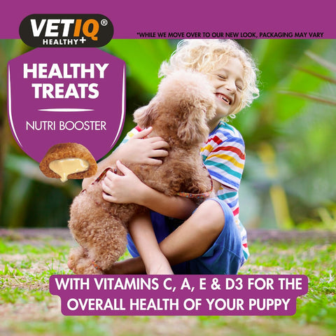 VetIQ Healthy Treats Nutri - Booster Puppy Treats 50g - Pets Villa