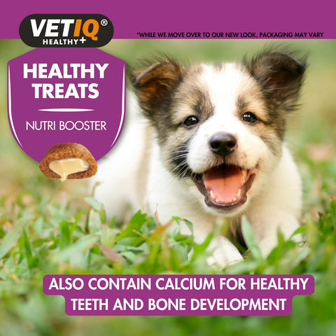 VetIQ Healthy Treats Nutri - Booster Puppy Treats 50g - Pets Villa