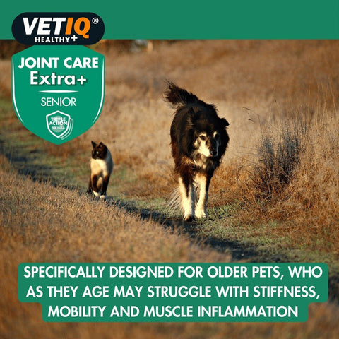 VETIQ Joint Care Extra for Senior Cats and Dogs - Pets Villa