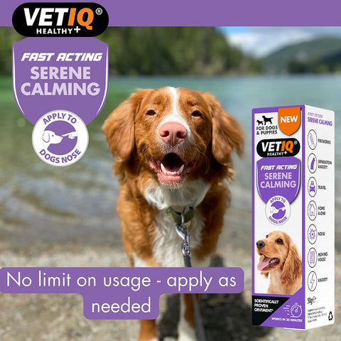 VETIQ Serene Calming Ointment 50g - Pets Villa