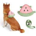 VETRESKA Watermelon Pet Harness and Leash Set (L) - Pets Villa