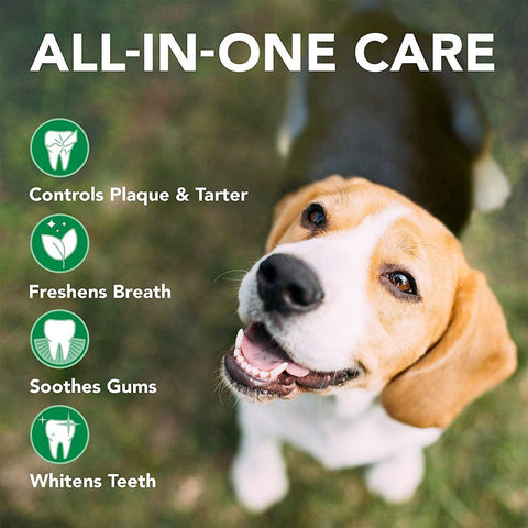 VET'S BEST Triple Headed Dog Toothbrush - Pets Villa