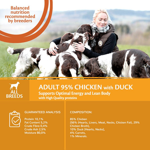 WELLNESS CORE 95% Duo Protein Chicken with Duck with Carrots 400g - Pets Villa