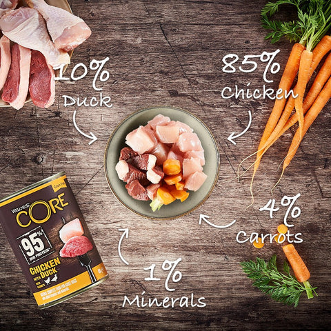 WELLNESS CORE 95% Duo Protein Chicken with Duck with Carrots 400g - Pets Villa