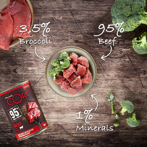 WELLNESS CORE 95% Single Protein Beef with Broccoli 400g - Pets Villa