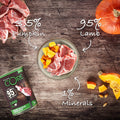 WELLNESS CORE 95% Single Protein Lamb with Pumpkin 400g - Pets Villa