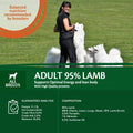 WELLNESS CORE 95% Single Protein Lamb with Pumpkin 400g - Pets Villa