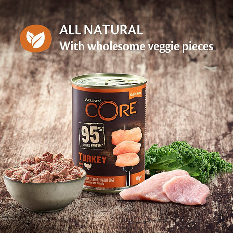 WELLNESS CORE 95% Single Protein, Turkey with Kale 400g - Pets Villa