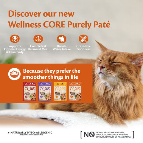 WELLNESS CORE Cat Purely Paté Adult Chicken 85g - Pets Villa