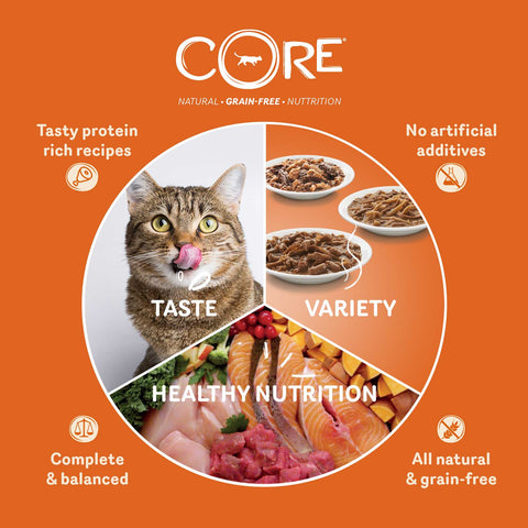 WELLNESS CORE Cat Shredded Boneless Chicken Entree with Turkey in Sauce 79g - Pets Villa