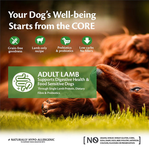 WELLNESS CORE Dog Adult Lamb 10kg - Pets Villa