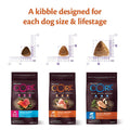 WELLNESS CORE Dog Large Breed Adult Original Chicken 10kg - Pets Villa