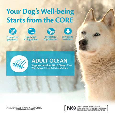 WELLNESS CORE Dog Medium to Large Breed Adult Ocean Salmon with Tuna - Pets Villa