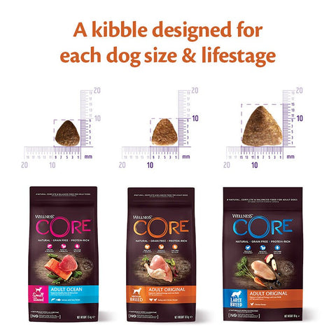 WELLNESS CORE Dog Small Breed Adult Low Fat Turkey 1.5kg - Pets Villa