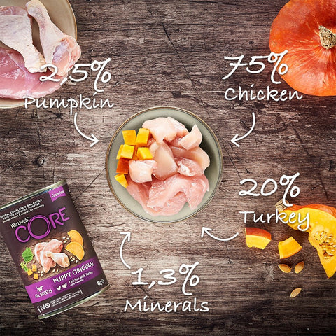 WELLNESS CORE Puppy Original Chicken with Turkey 400g - Pets Villa