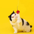 ZEZE 42 - 110cm Lucky Tanghulu Extendable Cat Teaser - Pets Villa