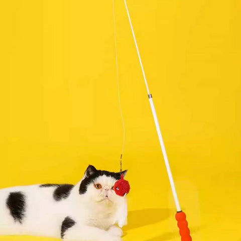 ZEZE 42 - 110cm Lucky Tanghulu Extendable Cat Teaser - Pets Villa