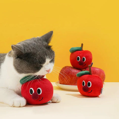 Cat Toys