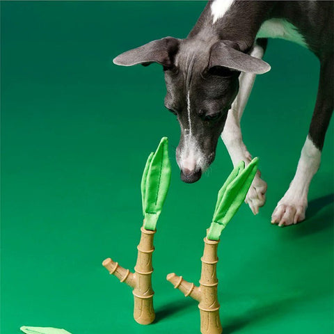 ZEZE Bamboo Stick Dog Toy - Pets Villa