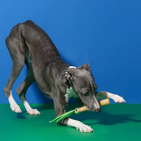 ZEZE Bamboo Stick Dog Toy - Pets Villa