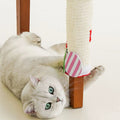 ZEZE Caterpillar Velcro Cat Scratching Mat - Pets Villa