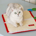 ZEZE Caterpillar Velcro Cat Scratching Mat - Pets Villa