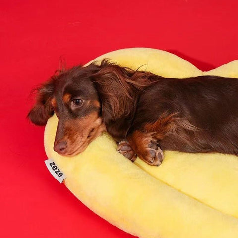 ZEZE Fortune Gold Ingot Pet Bed - Pets Villa