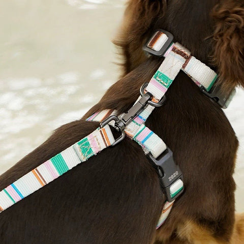 ZEZE French Pet Harness and Lead - Pets Villa