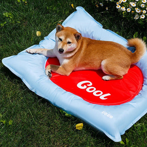 ZEZE Fruit Cooling Bed - Pets Villa