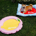 ZEZE Fruit Cooling Bed - Pets Villa