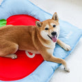 ZEZE Fruit Cooling Bed - Pets Villa