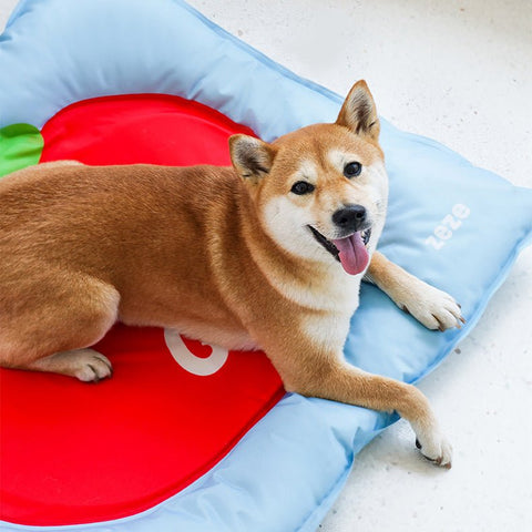 ZEZE Fruit Cooling Bed - Pets Villa