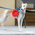 ZEZE Fruits Travel Bowl - Pets Villa