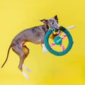 ZEZE Funny Steering Wheel Rope Dog Toy - Pets Villa