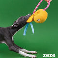 ZEZE Funny Teapot Pet Enrichment Toy - Pets Villa