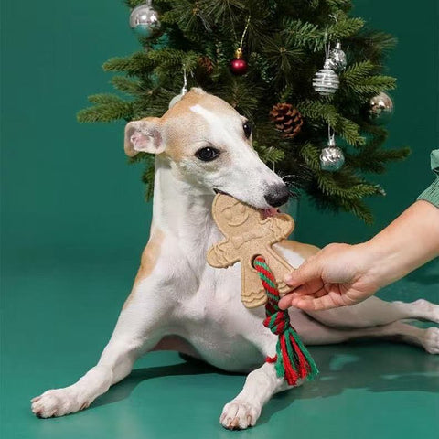 ZEZE Gingerbread Man Dog Toy with Rope - Pets Villa